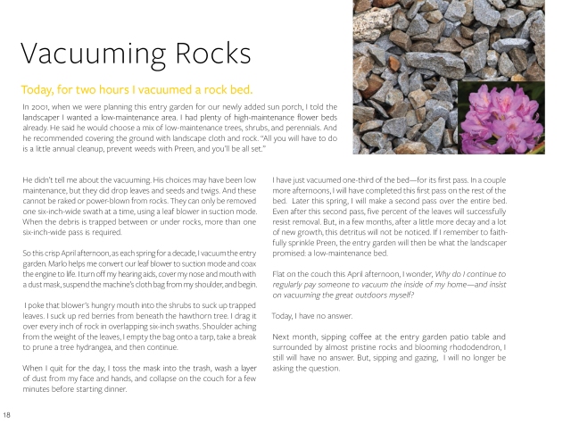 Vaccuming rocks